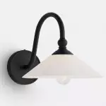 Cygnira Vintage Brass Glass Curved Neck Wall Light