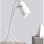 Nordic Metal Table Lamp