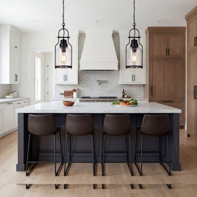 Eryxis Industrial Vintage Iron Glass Jar Pendant Light