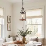 Doran Farmhouse Black Cage Cylinder Glass Pendant Light