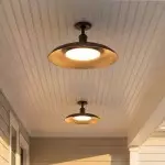 Khyler Scandinavian Carbonized Steel Round Waterproof Ceiling Light