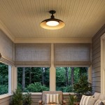 Khyler Scandinavian Carbonized Steel Round Waterproof Ceiling Light