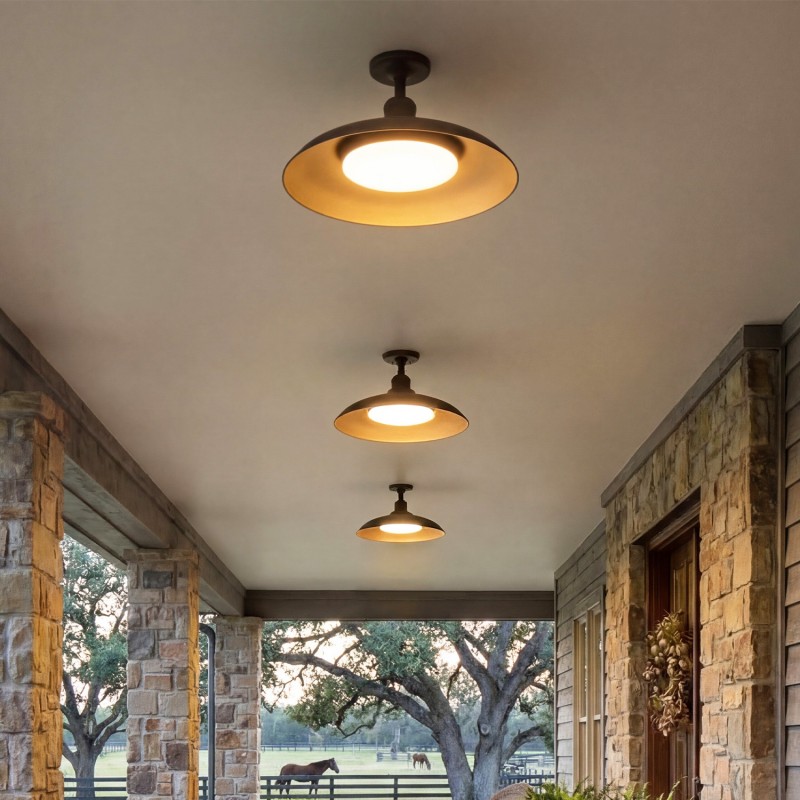 Khyler Scandinavian Carbonized Steel Round Waterproof Ceiling Light
