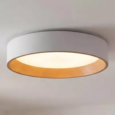 Zenith Nordic ‎Minimalist Metal Round Semi Flush Mount Ceiling Light