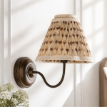 Aura Elegant Brass Swing Arm Porcelain Wall Sconce
