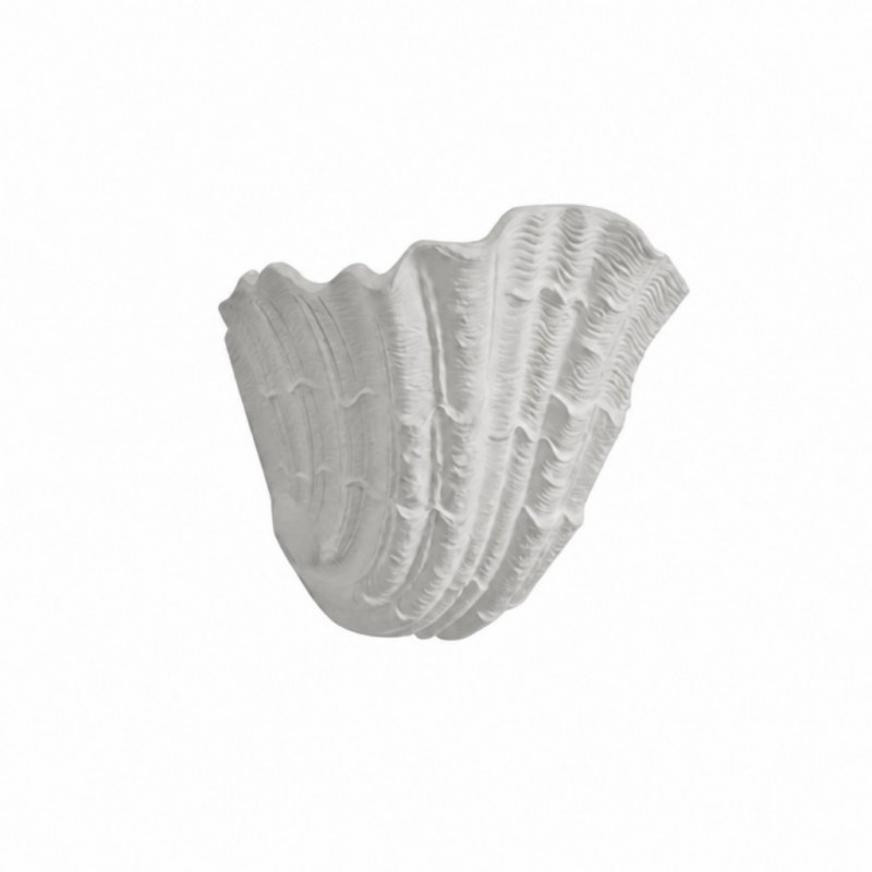 Layton French Coastal Shell Wall Sconce