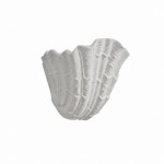 Layton French Coastal Shell Wall Sconce