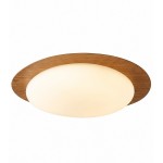 Zephyriel Nordic LED Walnut Pebble Ceiling Light