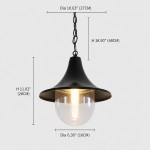 Marshall Farmhouse Outdoor Patio Porch Black Pendant Light