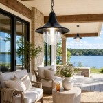 Marshall Farmhouse Outdoor Patio Porch Black Pendant Light