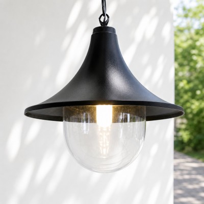 Marshall Farmhouse Outdoor Patio Porch Black Pendant Light
