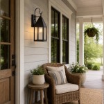 Randall Farmhouse Outdoor Black Patio Wall Light
