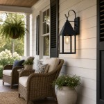 Randall Farmhouse Outdoor Black Patio Wall Light