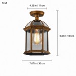 Percy Farmhouse Outdoor Patio Ceiling Light