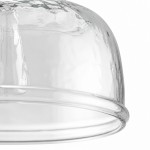 Alexander Farmhouse Wood Accent Clear Glass Pendant Light