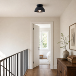 Veere Modern Dome Colorful Metal Ceiling Light