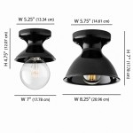 Lunavel Modern Ceramic Mount Ceiling Light Fixture