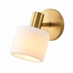 Aura Modern Colorful Adjustable Porcelain Shade Brass Wall Lamp