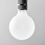 LED Light Bulb – Frosted Large Globe