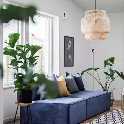 Bamboo Pendant light Bamboo Pendant light